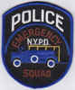 NYPD_EmgcySqd_SM.jpg (31378 bytes)